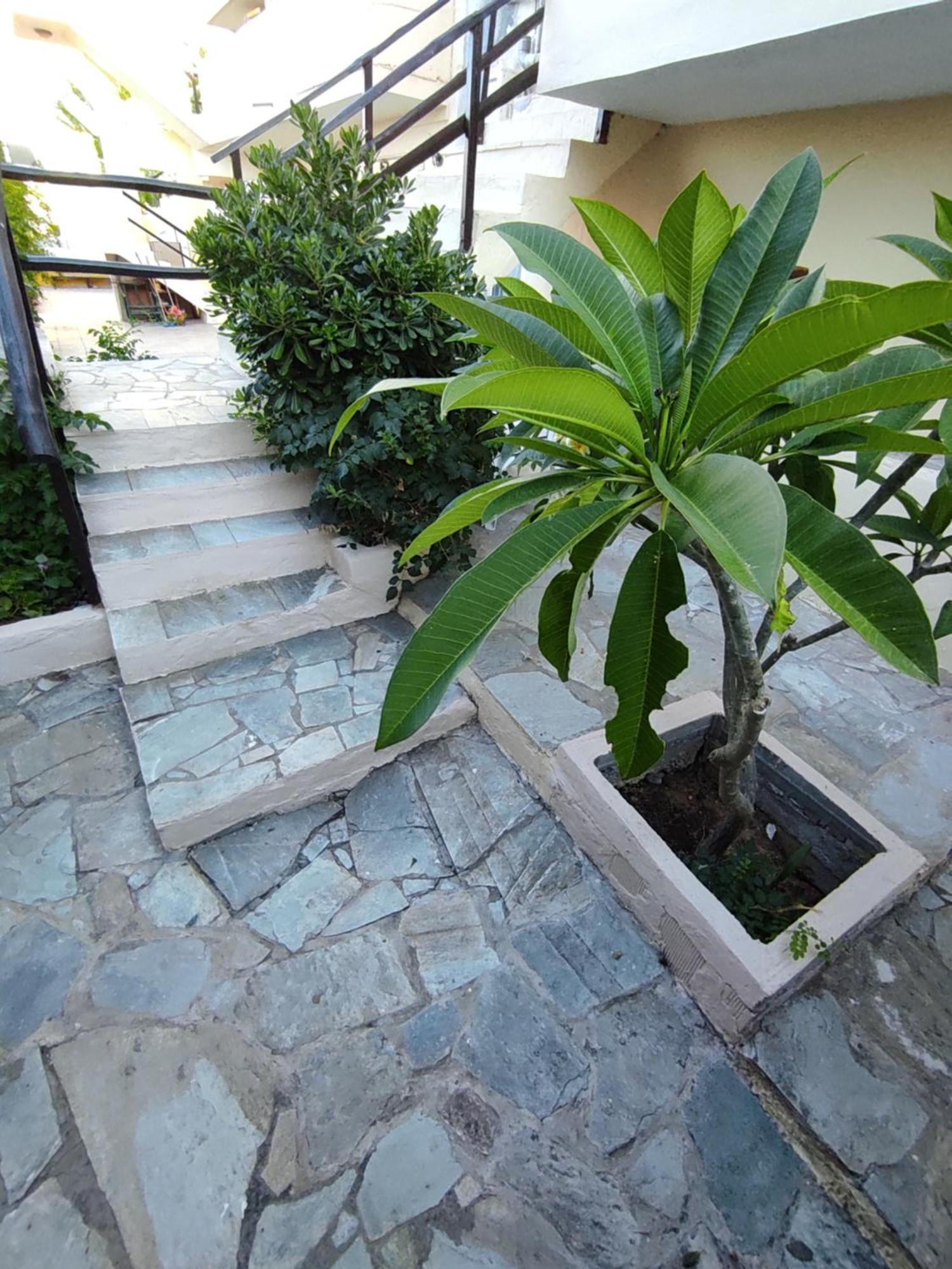 Dedalos N3 Sea View Apartment-30 Metres From The Beach Stalida Buitenkant foto
